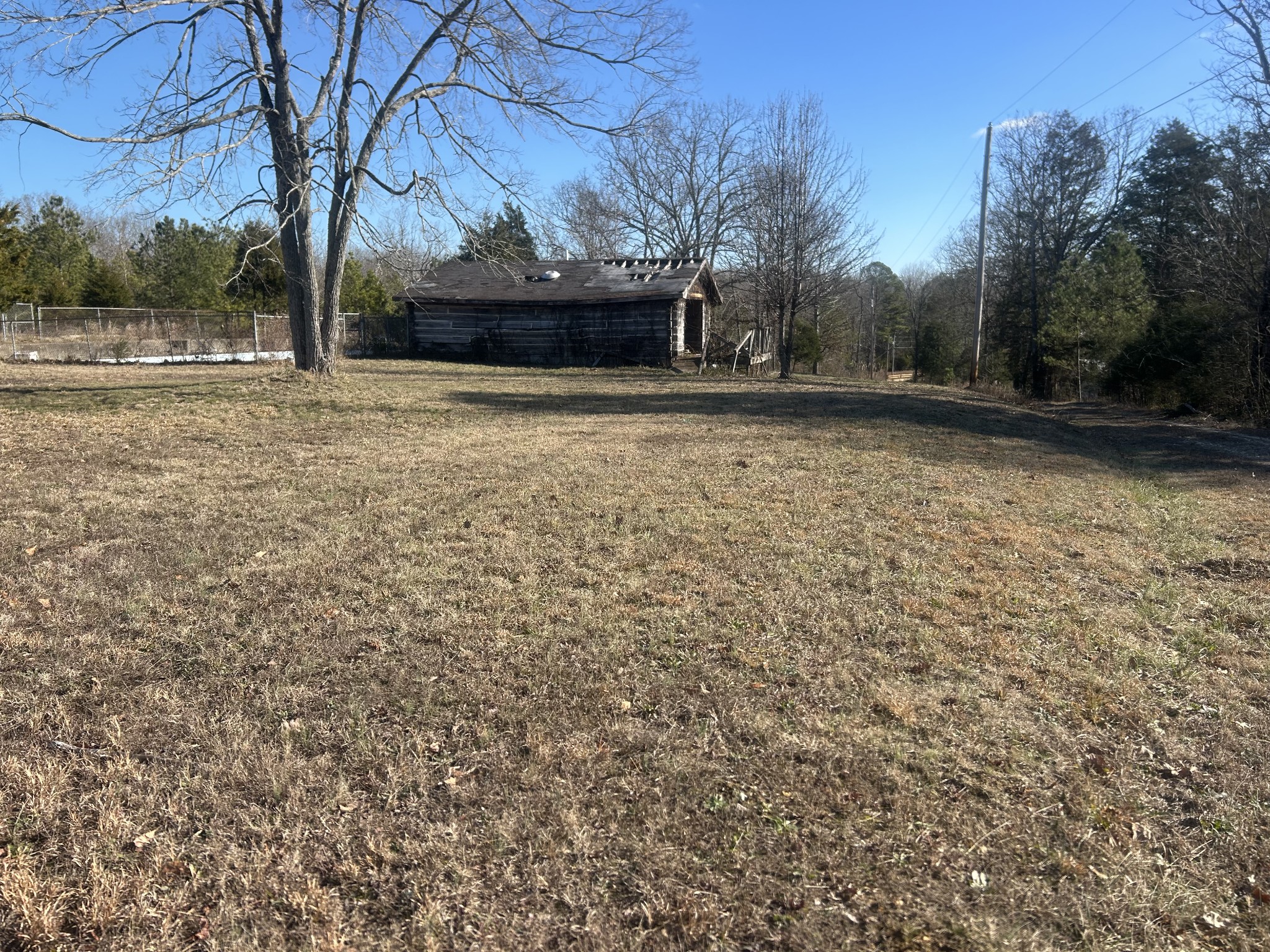 0 Deerwood Run Big Sandy, TN 38221 - Photo 6 of 7 a view of pool with tree