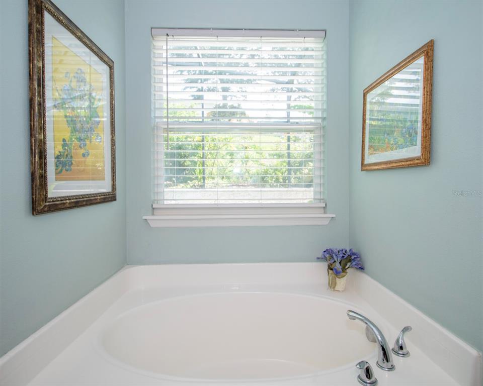 1111 Spruce Ridge Court Minneola, FL 34715 - Photo 17 of 34 a white bath tub sitting in a bathroom next to a window
