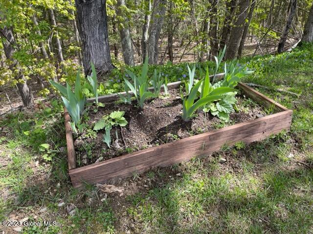 177 Joe Chamberlain Road Roseboom, NY 13320 - Photo 54 of 73 image12