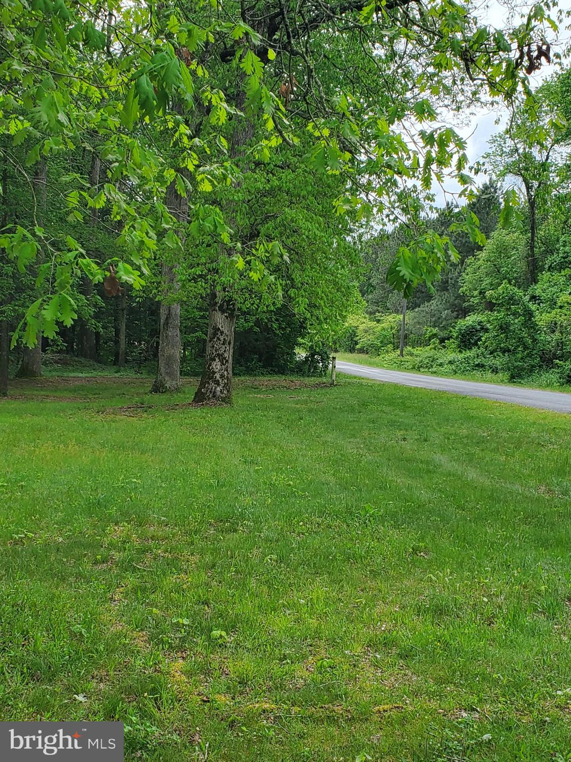 11599 Kibler Road Greensboro, MD 21639 - Photo 25 of 47 FRONT LAWN