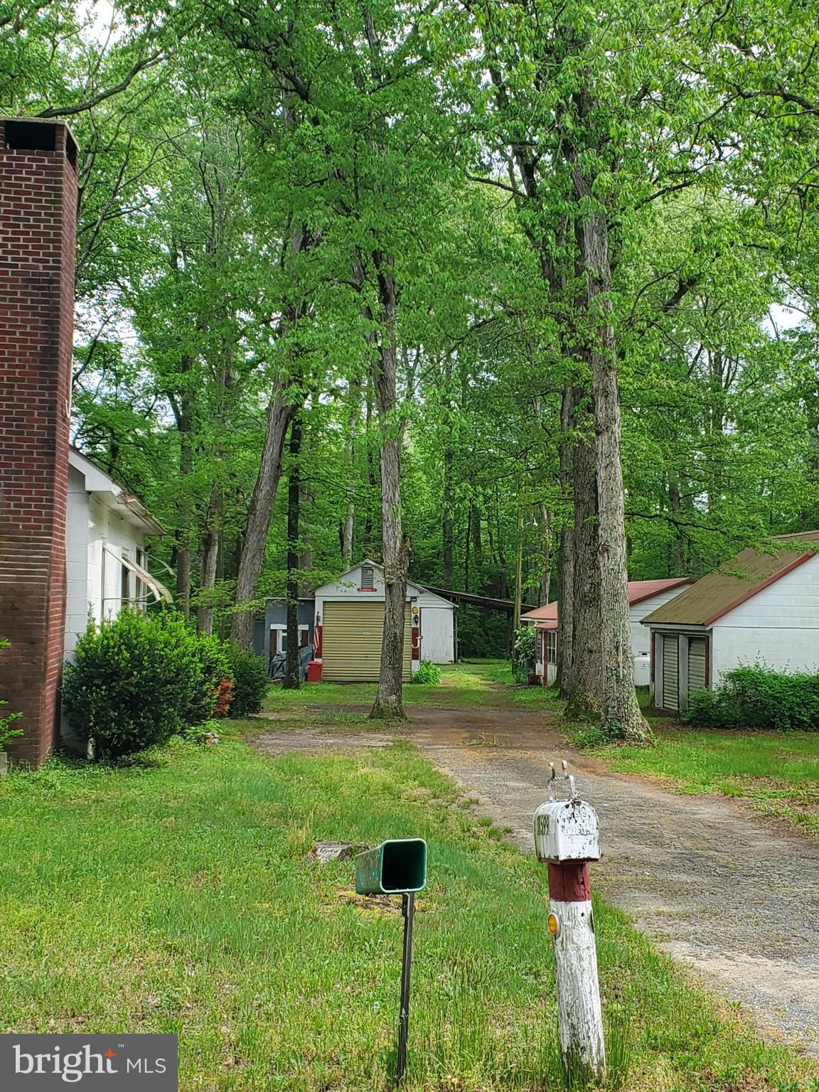 11599 Kibler Road Greensboro, MD 21639 - Photo 26 of 47 DRIVEWAY VIEW