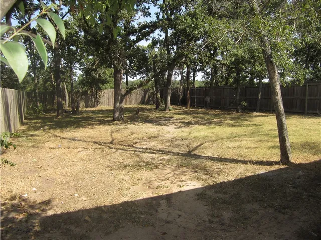 a view of a yard with trees