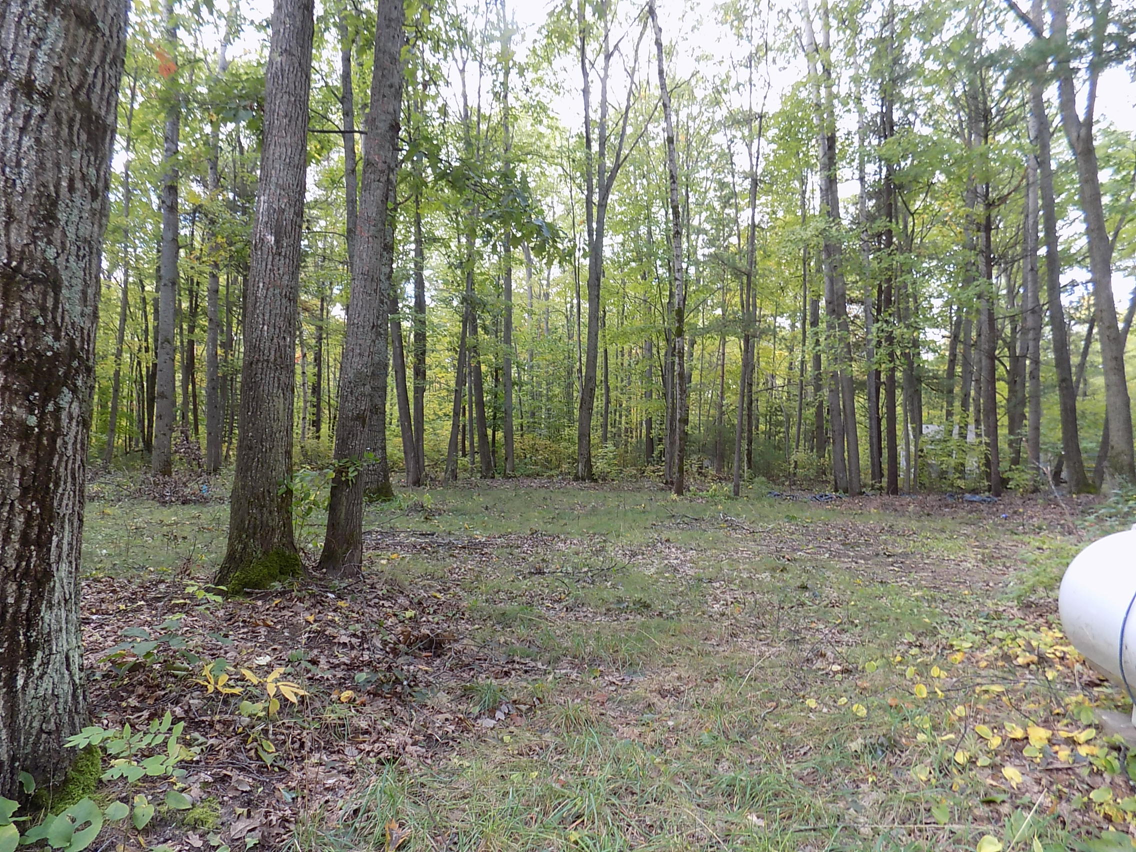 12430 Haas Road Atlanta, MI 49709 - Photo 25 of 28 Gallery Image 25