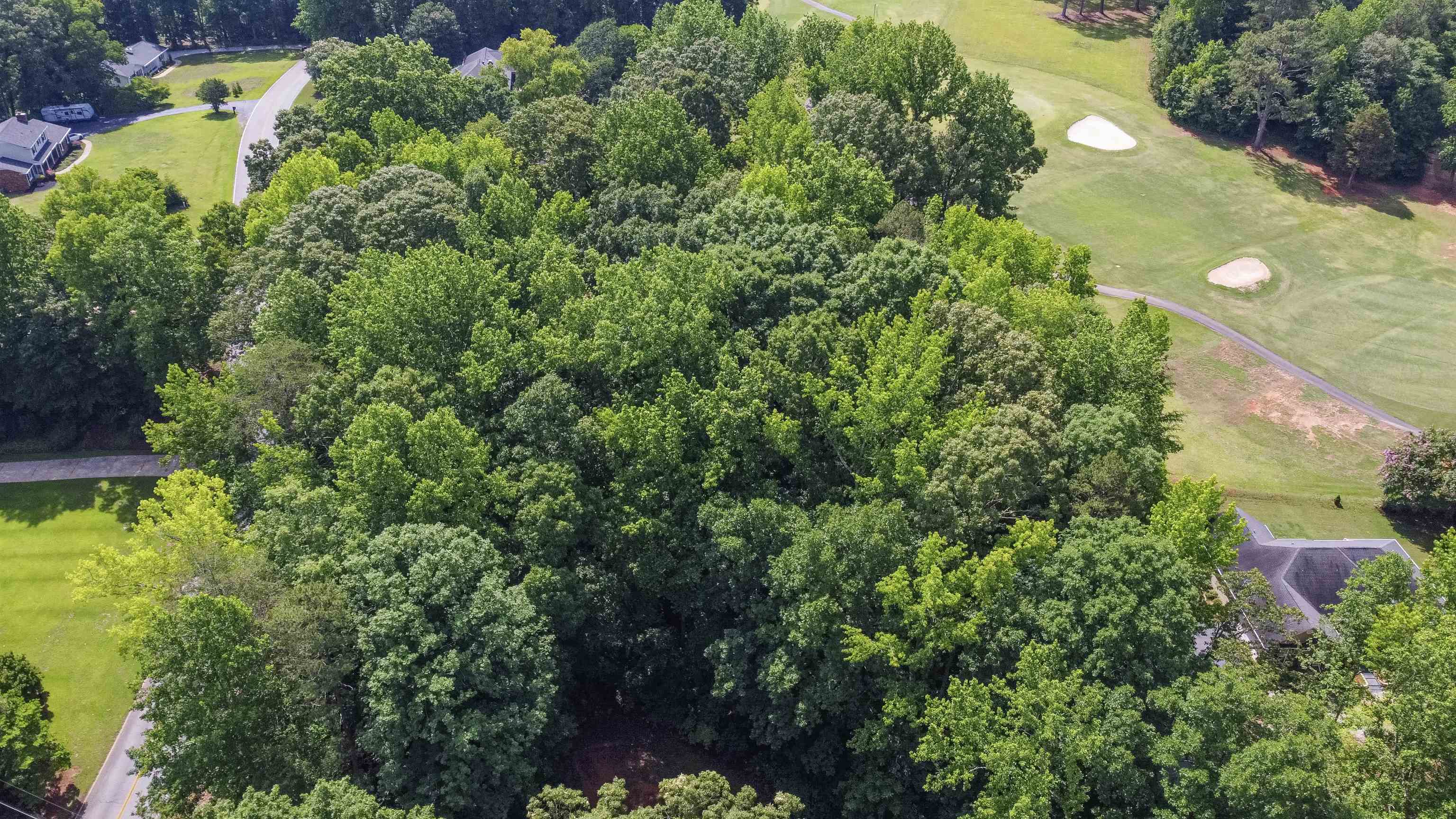 112 Pinewood Drive Woodruff, SC 29388 - Photo 3 of 4