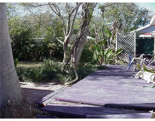a view of a backyard with plants