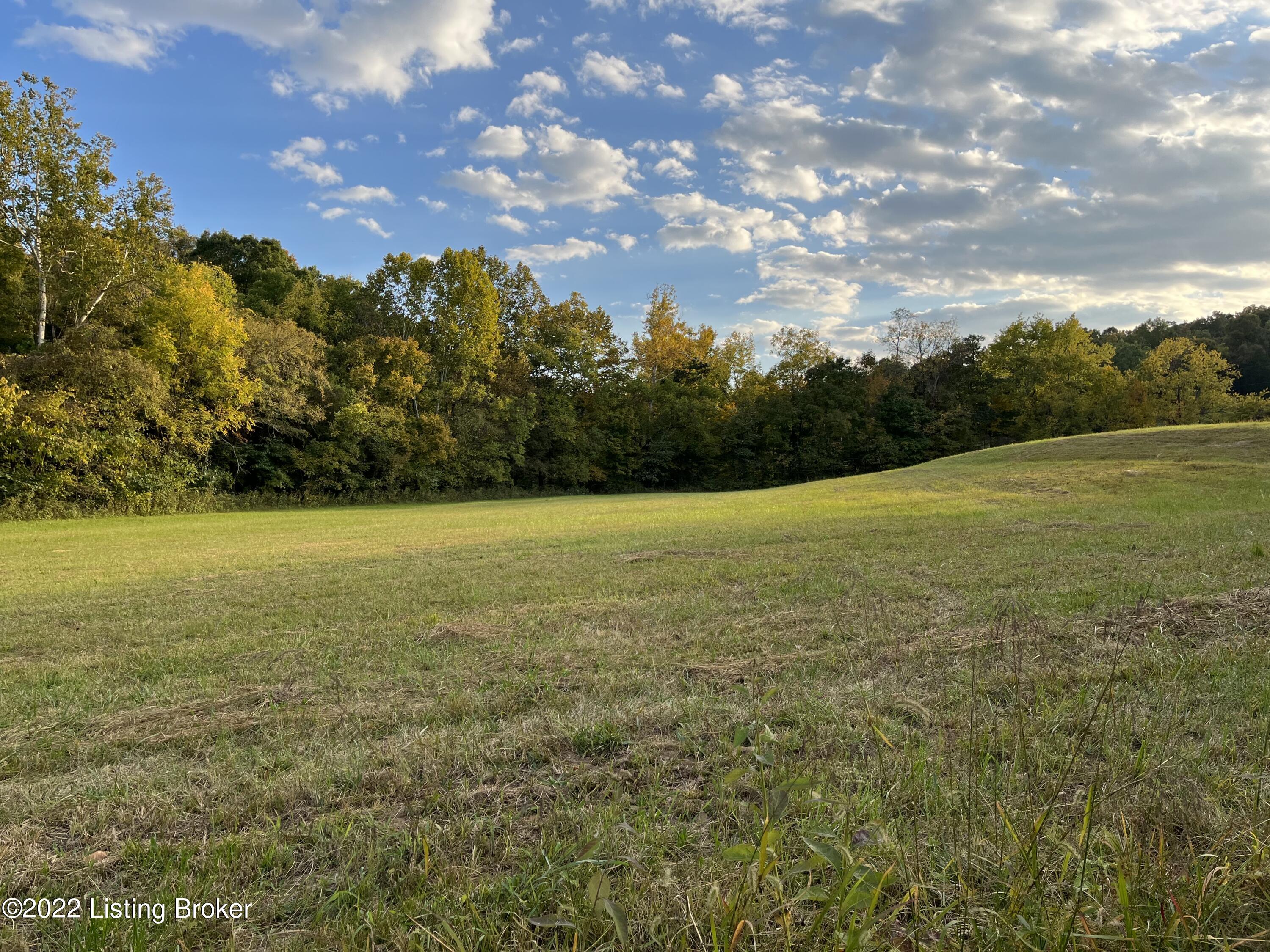 194 Buffalo Road Leitchfield, KY 42754 - Photo 2 of 28 IMG_4199