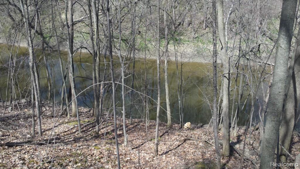 14814 Belle River Road Allenton, MI 48002 - Photo 7 of 17 Gallery Image 7