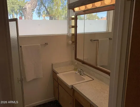 a bathroom with a sink and a mirror