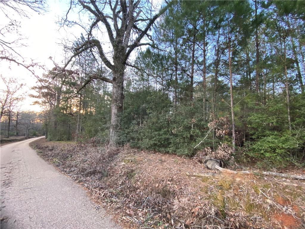 19065 Kyzar Road Kentwood, LA 70444 - Photo 3 of 7