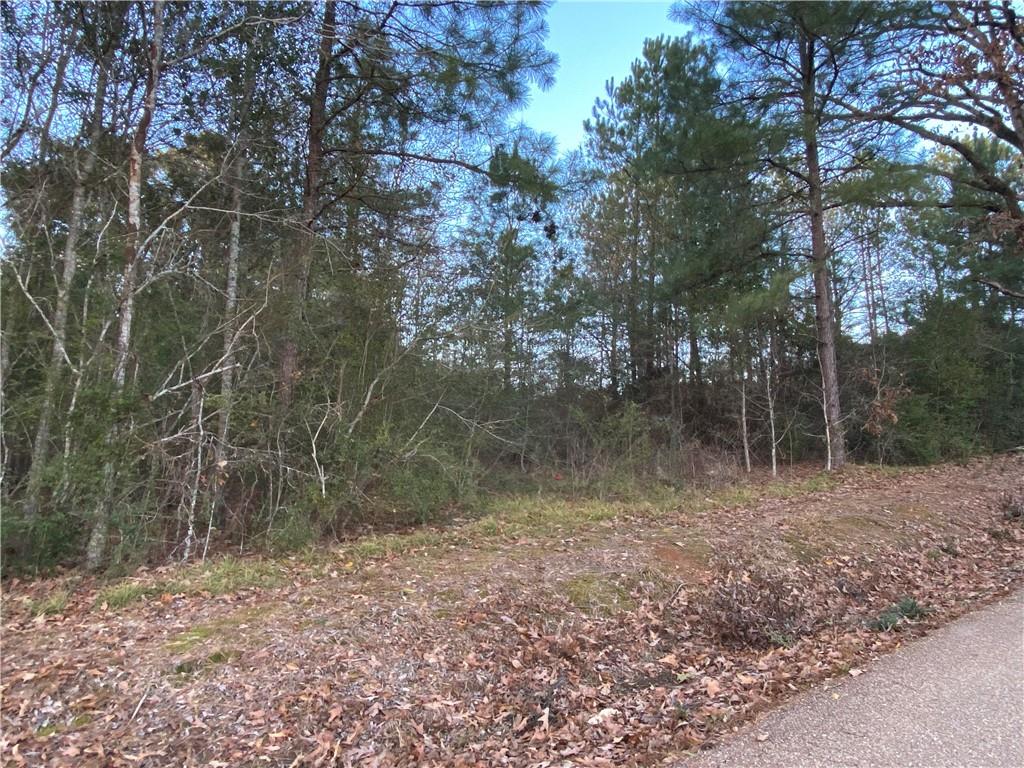 19065 Kyzar Road Kentwood, LA 70444 - Photo 4 of 7