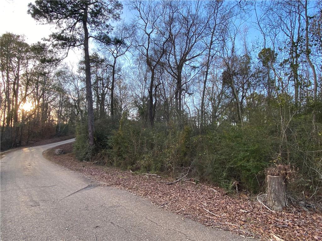 19065 Kyzar Road Kentwood, LA 70444 - Photo 6 of 7