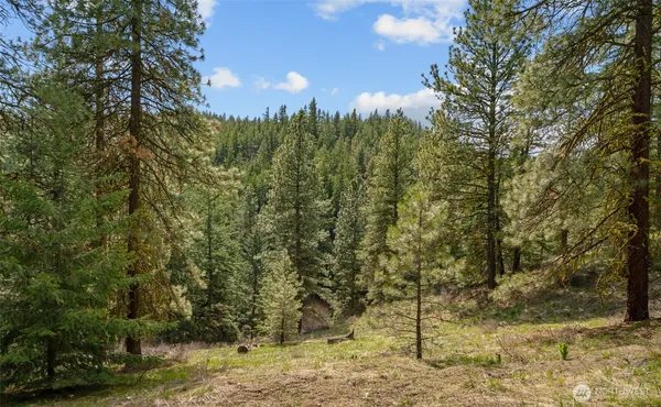 $86,400 | 0 Skull Springs Road, Cle Elum, WA 98922