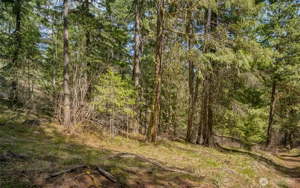 $86,400 | 0 Skull Springs Road, Cle Elum, WA 98922