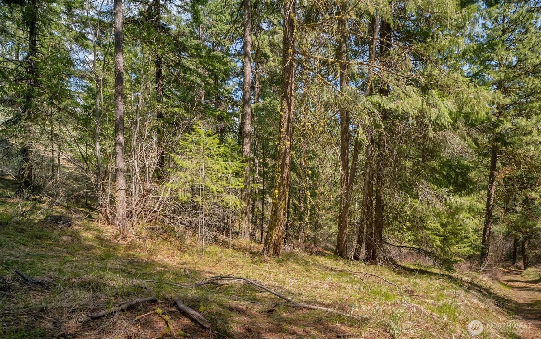 0 Skull Springs Road Cle Elum, WA 98922 - Photo 2 of 4