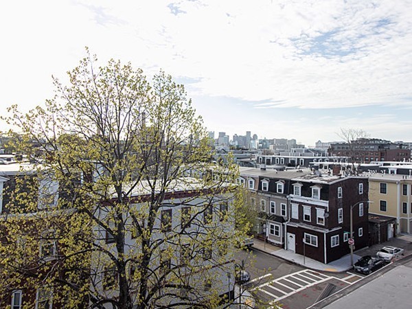 56 P Street Boston, MA 02127 - Photo 21 of 30