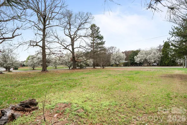 a view of yard with tree