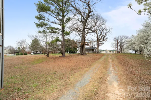 a view of road and trees