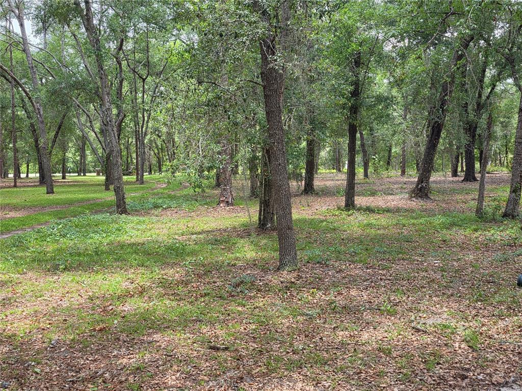 Rolling Ares Road West Lady Lake, FL 32159 - Photo 20 of 48 Gallery Image 20