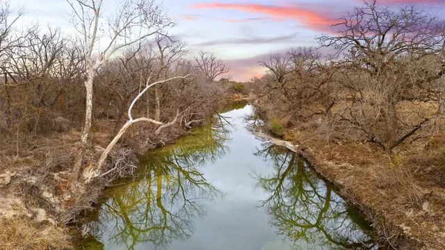 a backyard of a house