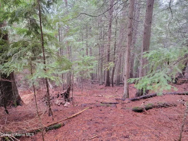 $198,000 | Terry Trail, Priest River, ID 83856