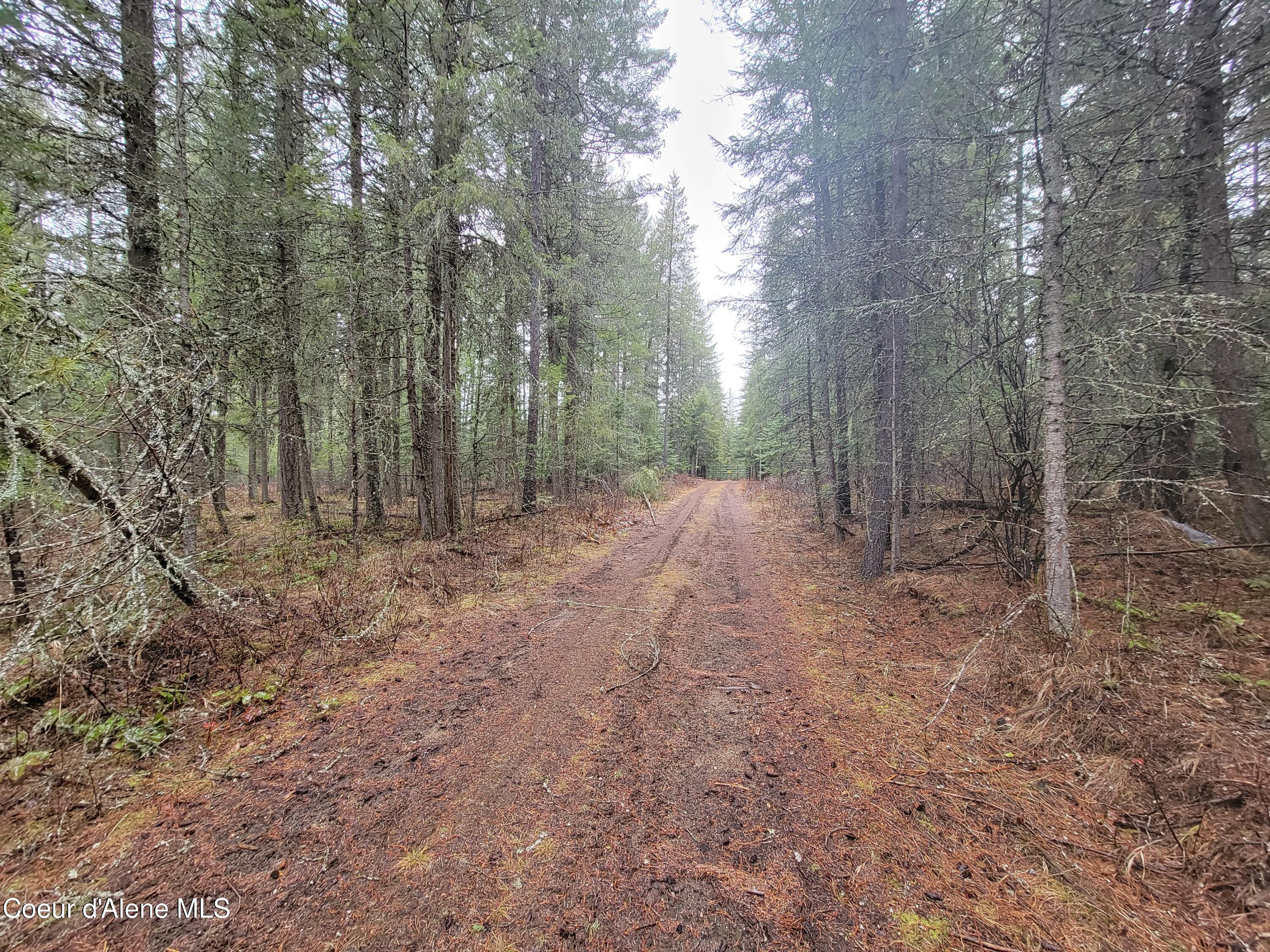 Terry Trail Priest River, ID 83856 - Photo 11 of 11 11