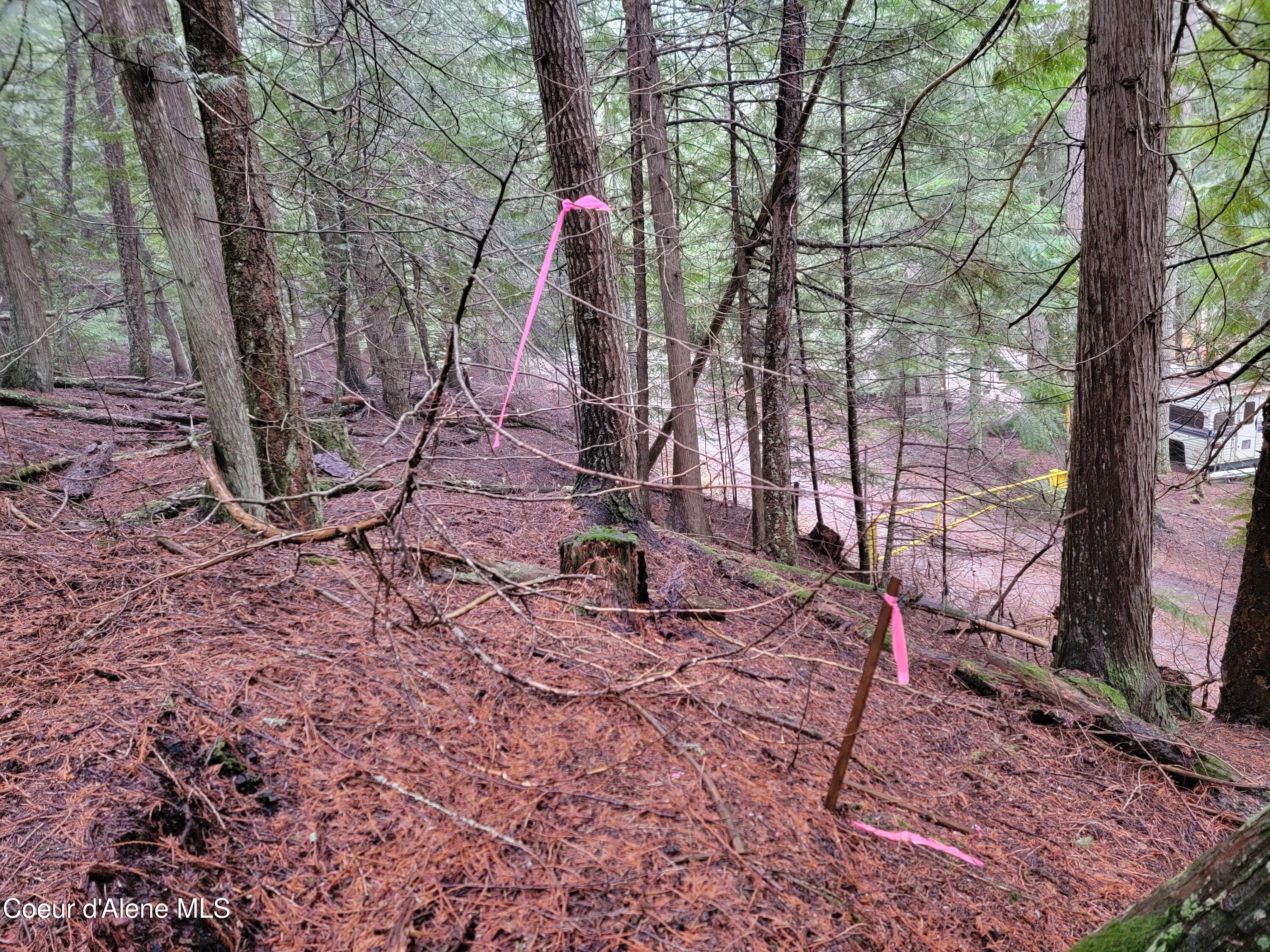 Terry Trail Priest River, ID 83856 - Photo 6 of 11 6