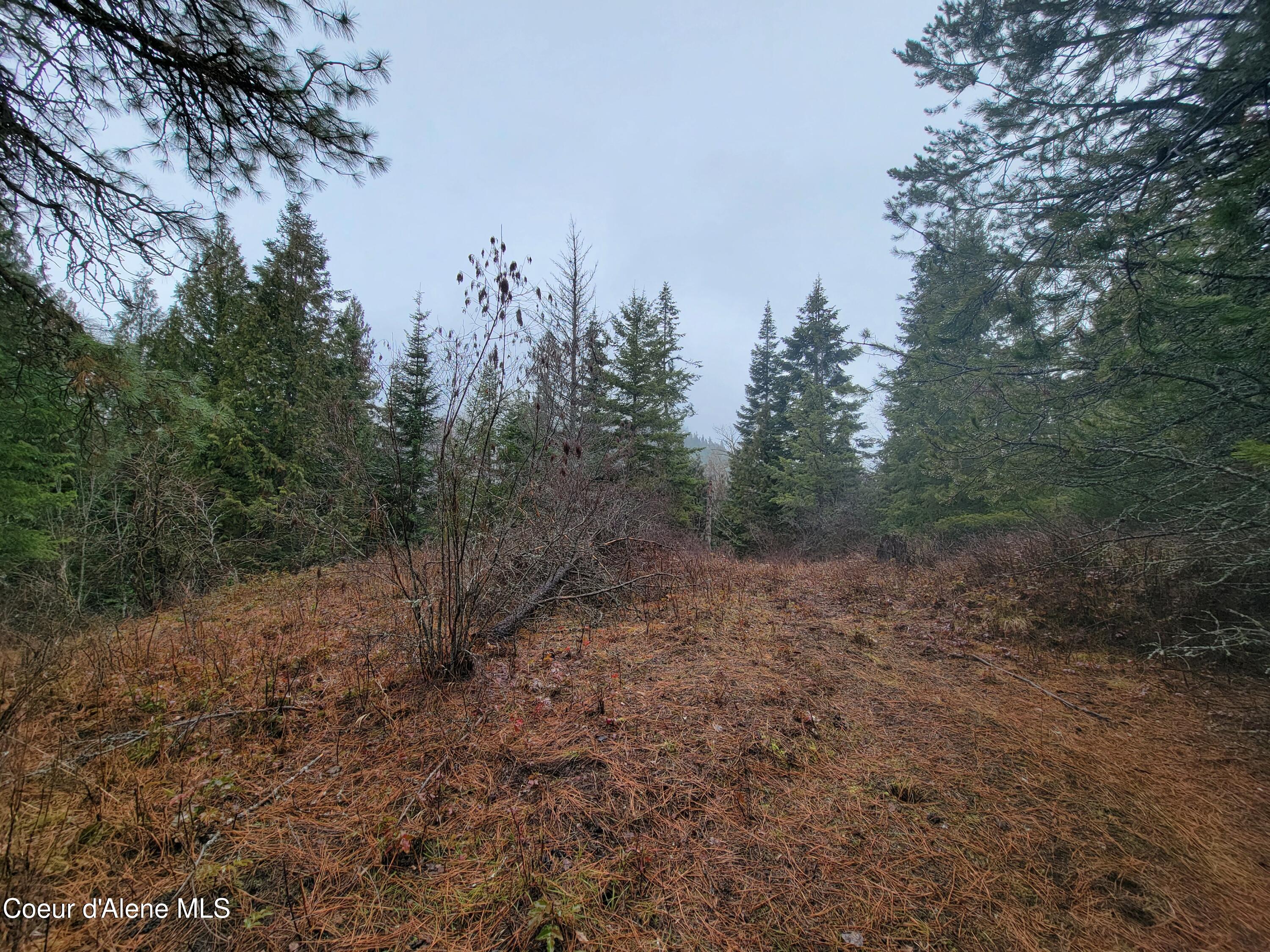 Terry Trail Priest River, ID 83856 - Photo 8 of 11 8