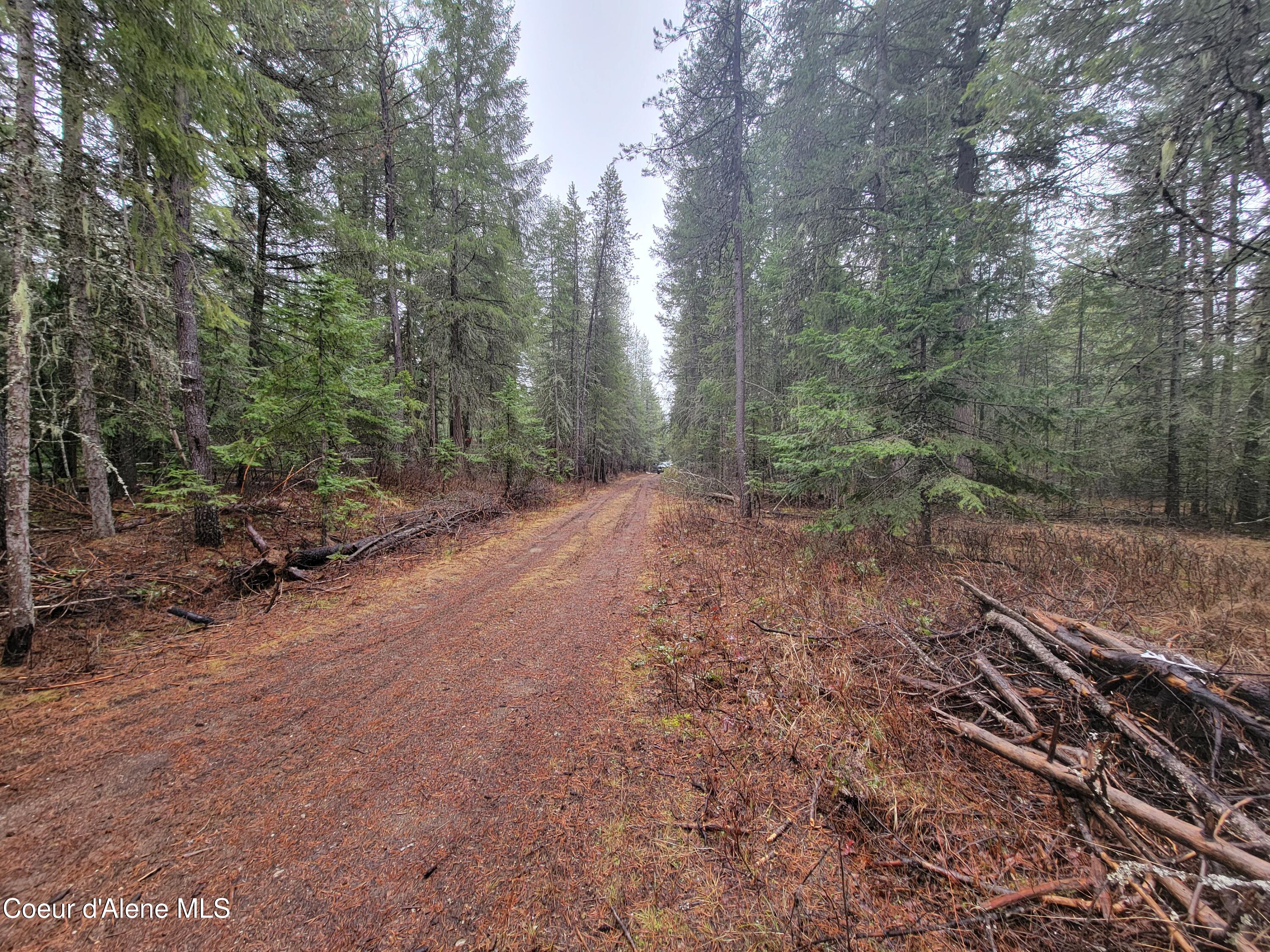 Terry Trail Priest River, ID 83856 - Photo 9 of 11 9