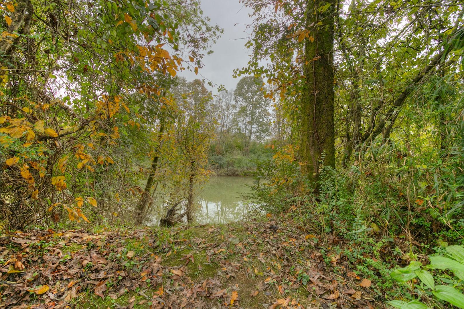 2786 Forest Road Chattanooga, TN 37406 - Photo 18 of 30 Waterfront