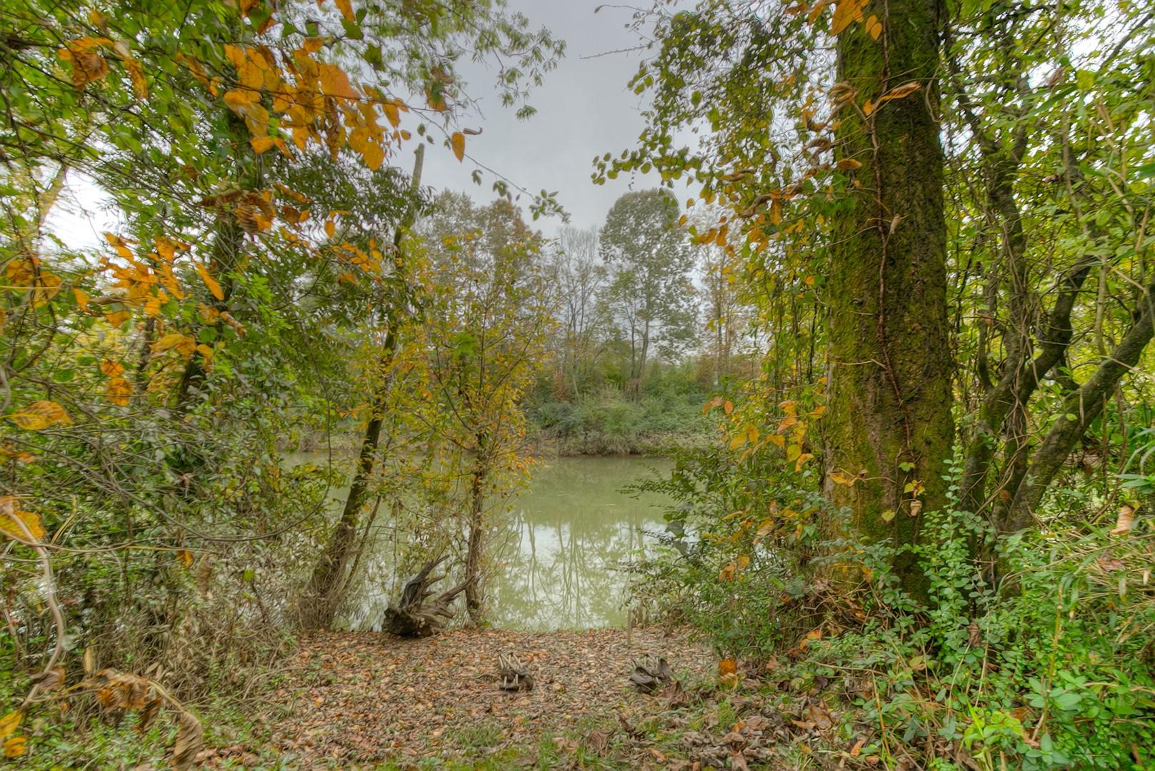 2786 Forest Road Chattanooga, TN 37406 - Photo 19 of 30 Water Access