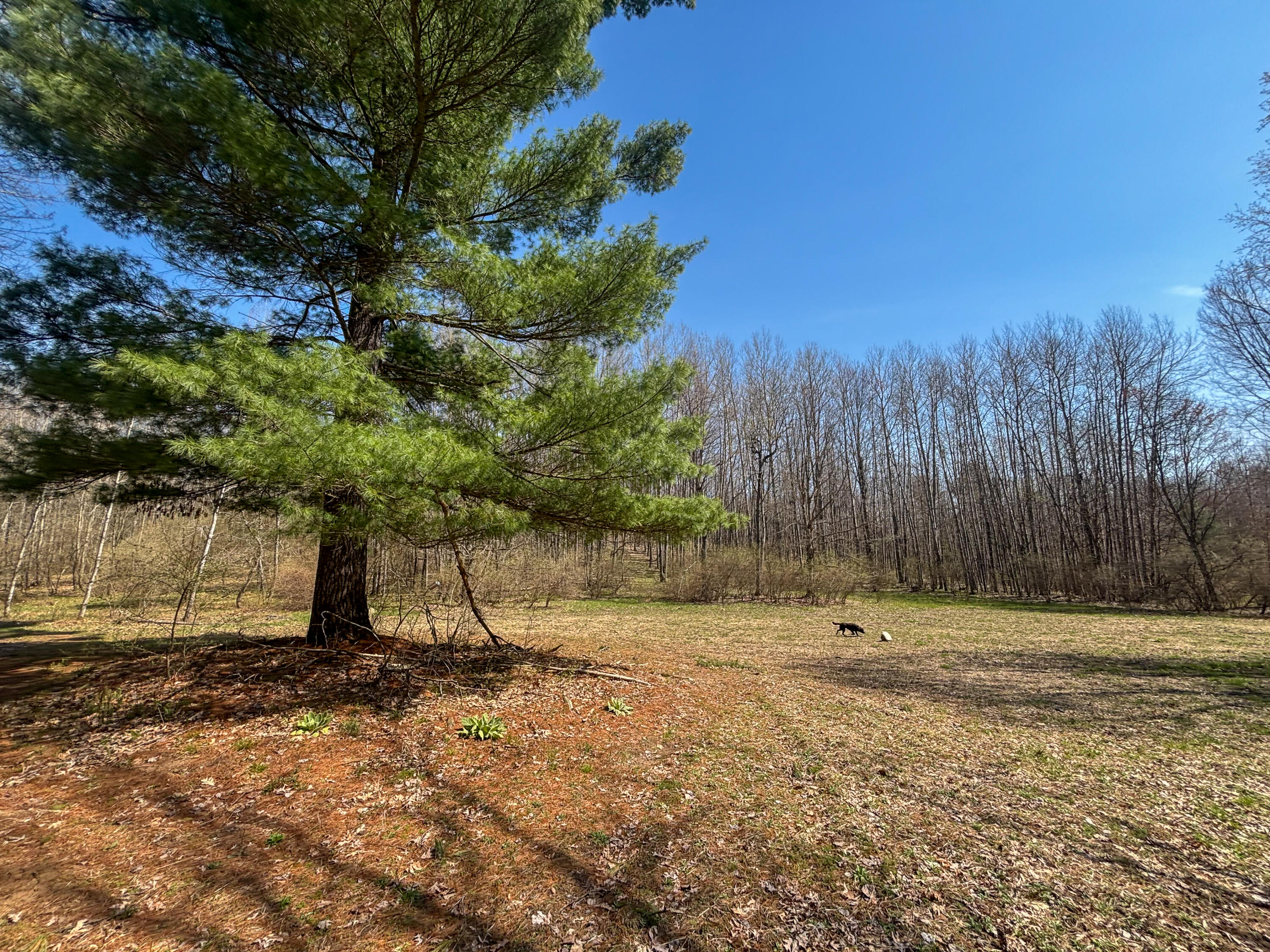 7415 East Anthony Road Branch, MI 49402 - Photo 73 of 99 IMG_2505