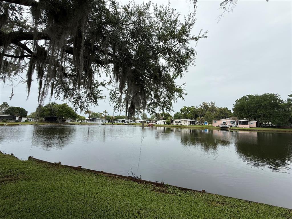 8 Robin Road Wildwood, FL 34785 - Photo 35 of 46