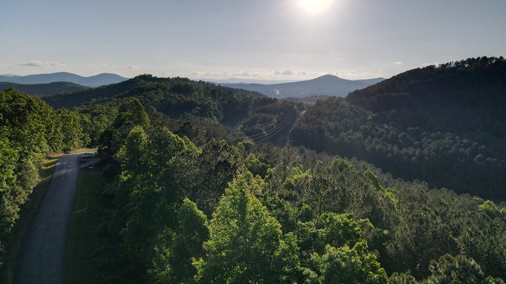 Lot 70 Ridge Peak View Blairsville, GA 30512 - Photo 4 of 12 a view of a mountain range with lush green forest