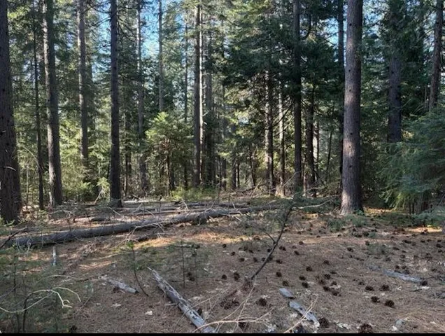 $50,000 | 30115 North Bloomfield-Graniteville Road, Nevada City, CA 95959