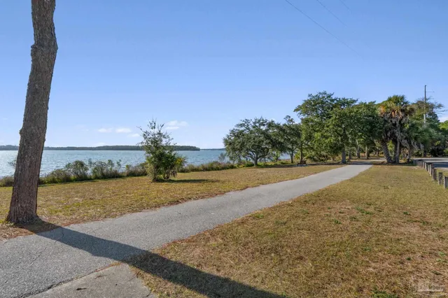 a view of a yard with palm trees