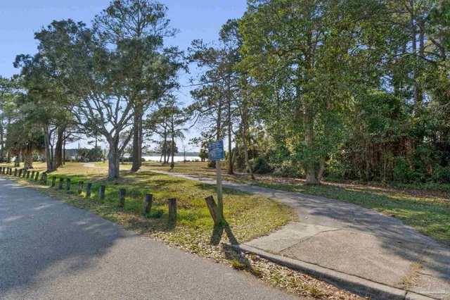 a view of yard with trees