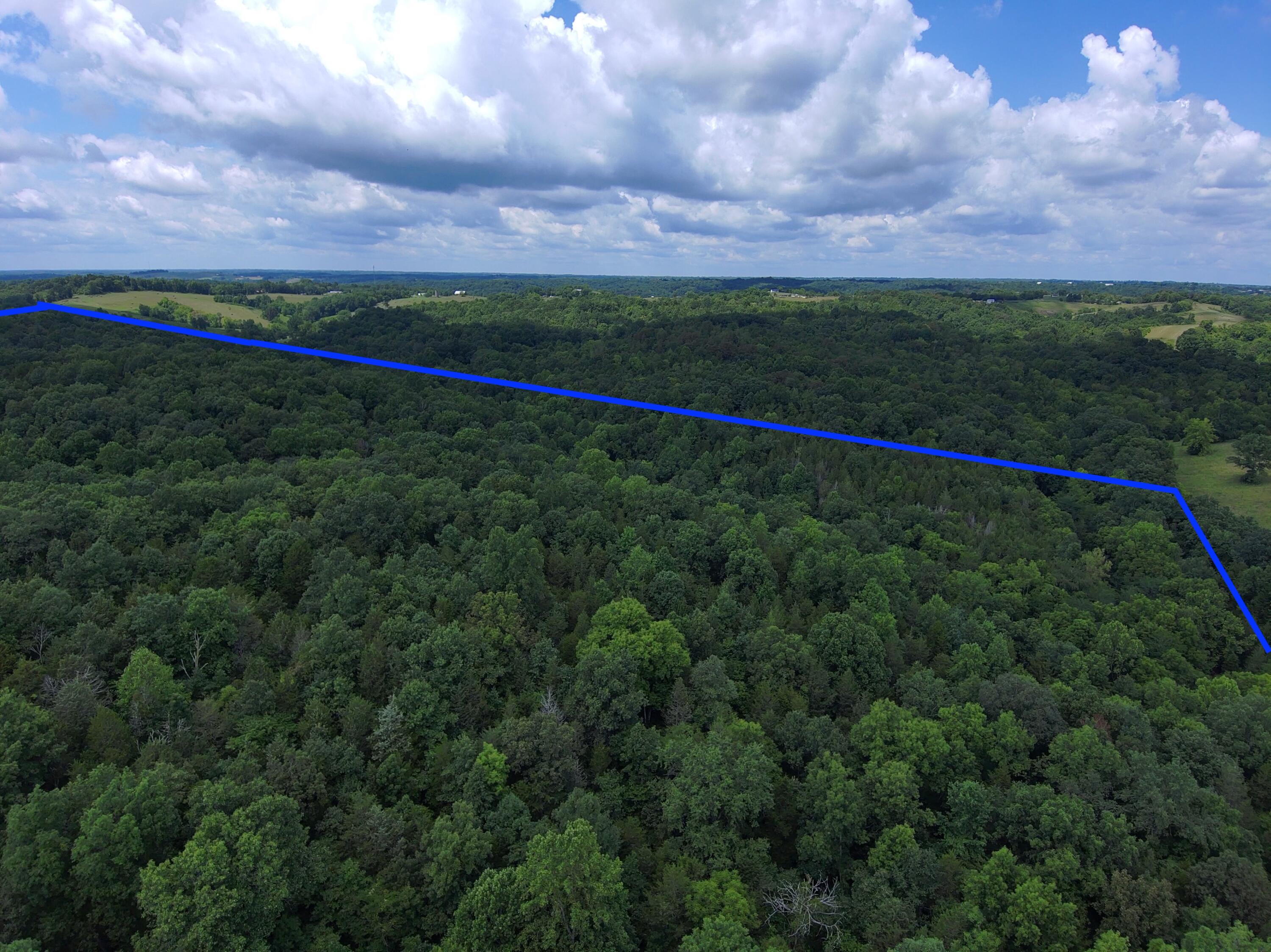 3126 Buchanan Creek Road Ewing, KY 41039 - Photo 53 of 54 D5E7ED1F-64E5-4FCB-9E18-E4AB6F1CF18CDots