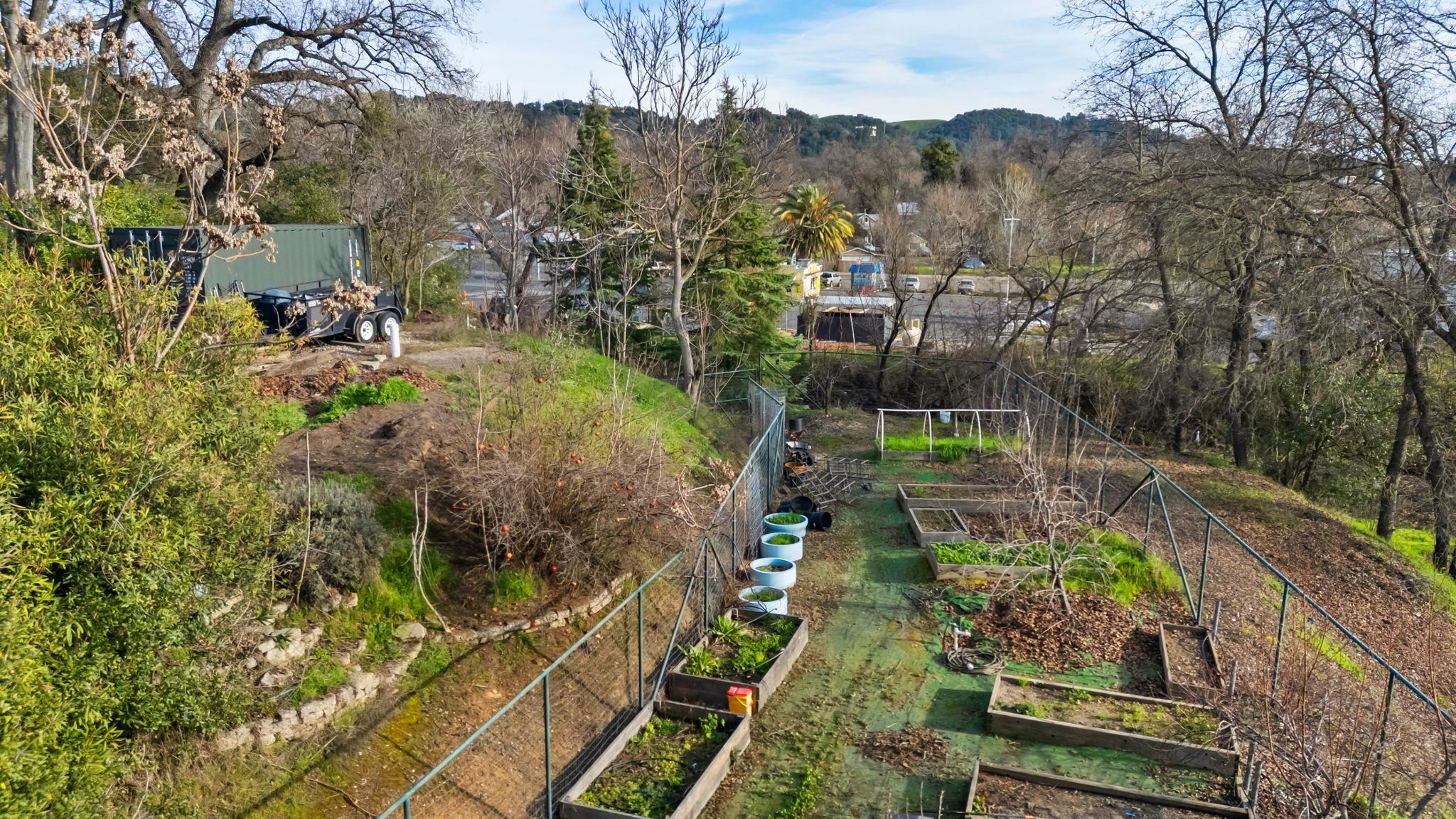 10177 Pulpit Rock Road Jamestown, CA 95327 - Photo 45 of 60 View of yard featuring a garden