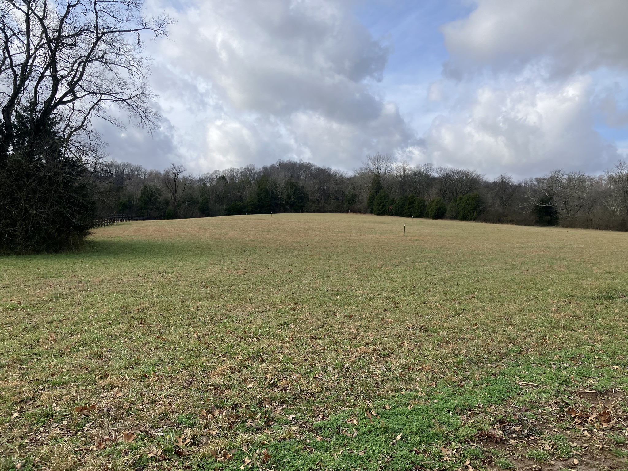 3333 Booker Ridge Road Mount Pleasant, TN 38474 - Photo 3 of 43 a view of an ocean