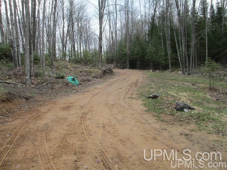 4100 Haywire Lake Road Republic, MI 49879 - Photo 13 of 16 Gallery Image 13