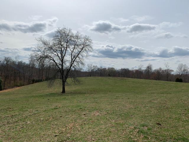 0 Frontage Road Russell Springs, KY 42642 - Photo 5 of 16 5