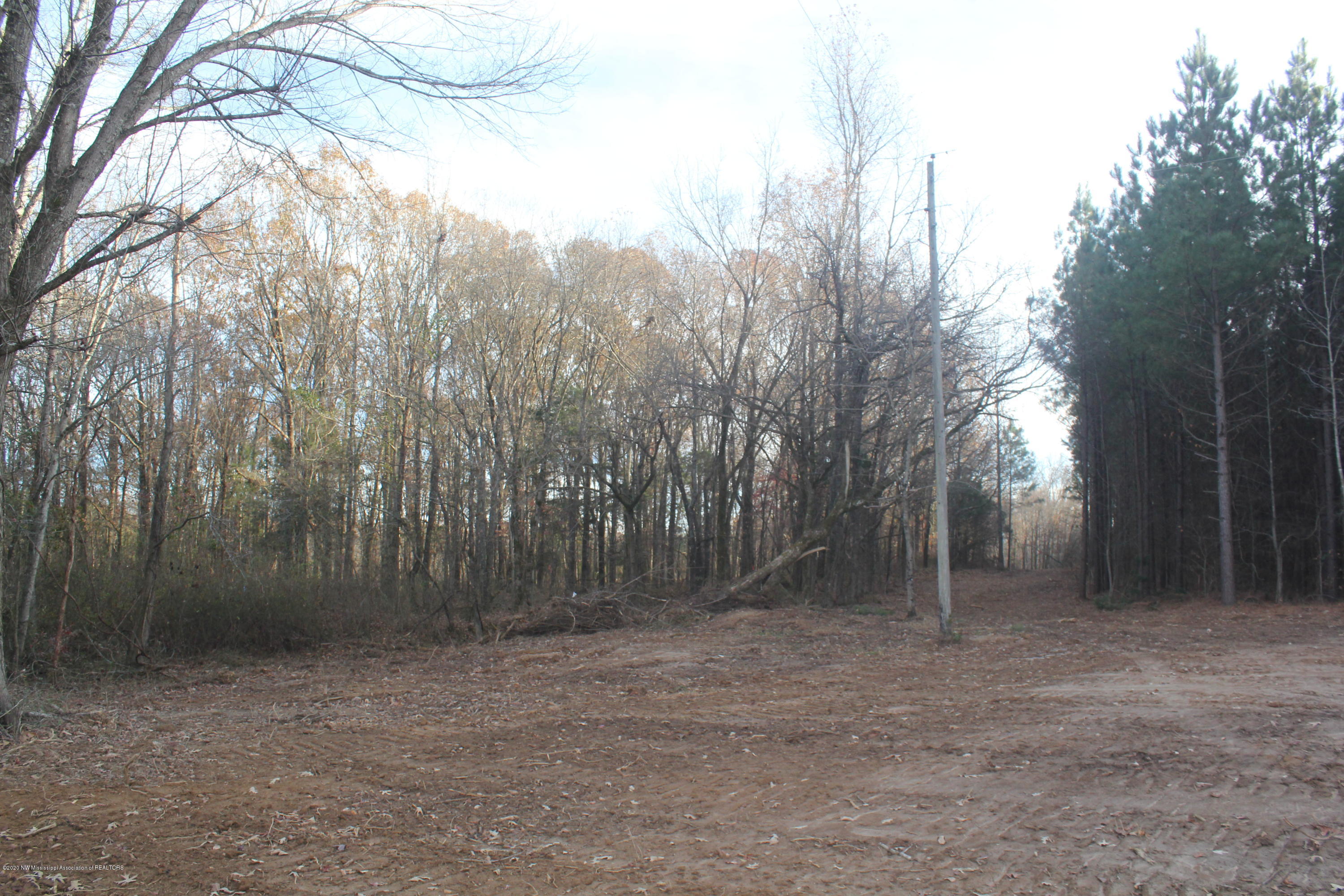 251 Hogan Road Lamar, MS 38642 - Photo 1 of 32 IMG_5319