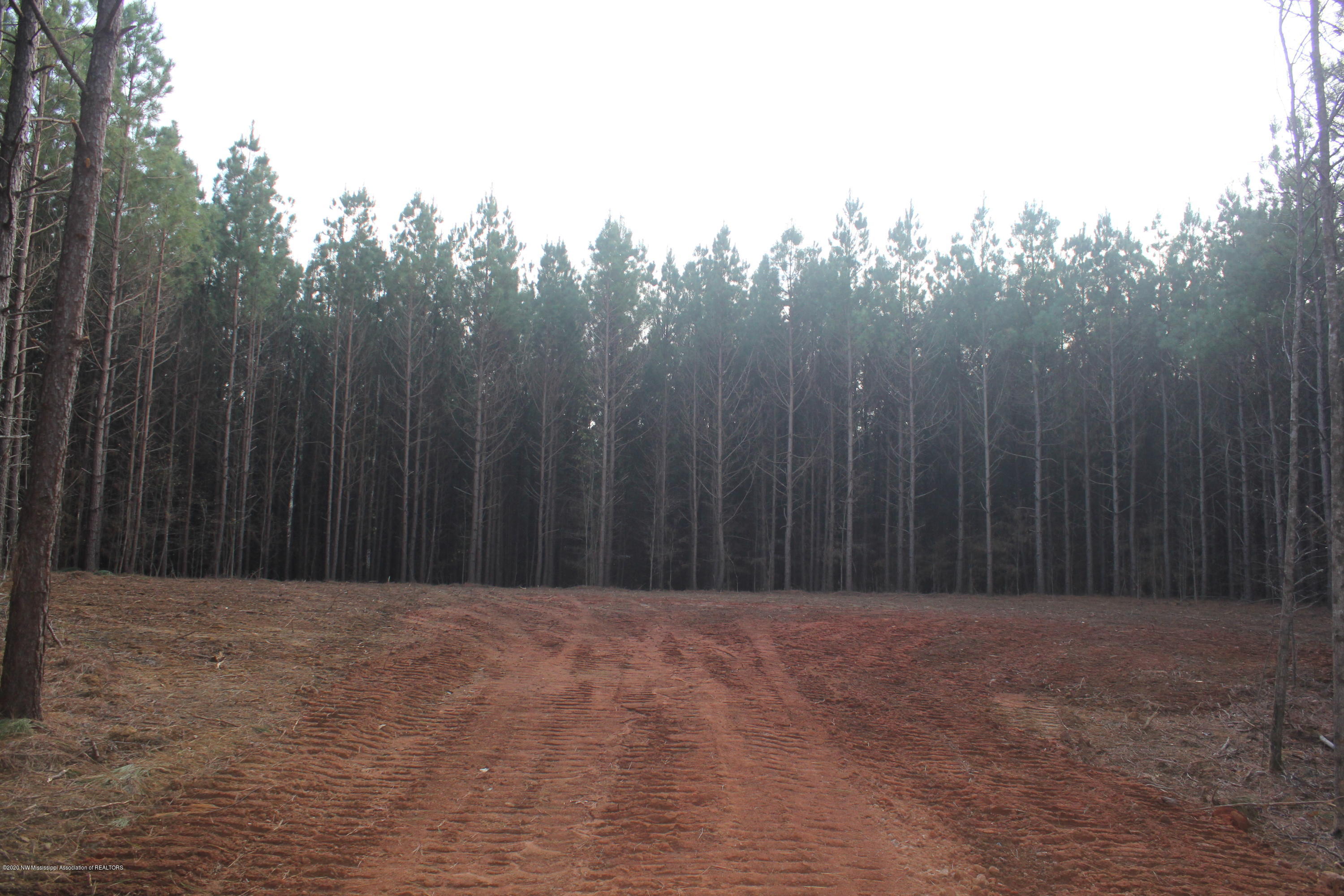 251 Hogan Road Lamar, MS 38642 - Photo 15 of 32 IMG_5333