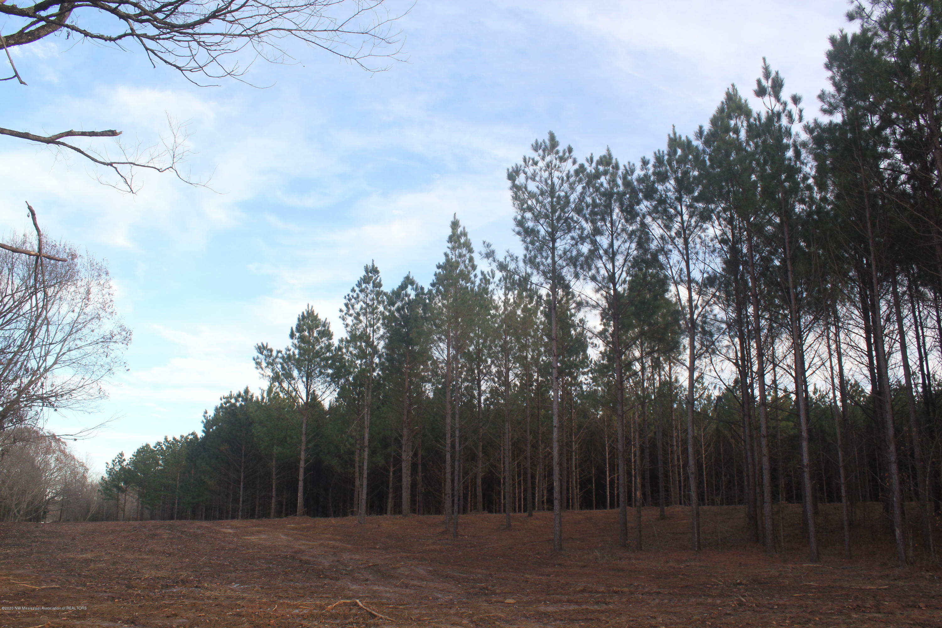 251 Hogan Road Lamar, MS 38642 - Photo 19 of 32 IMG_5337
