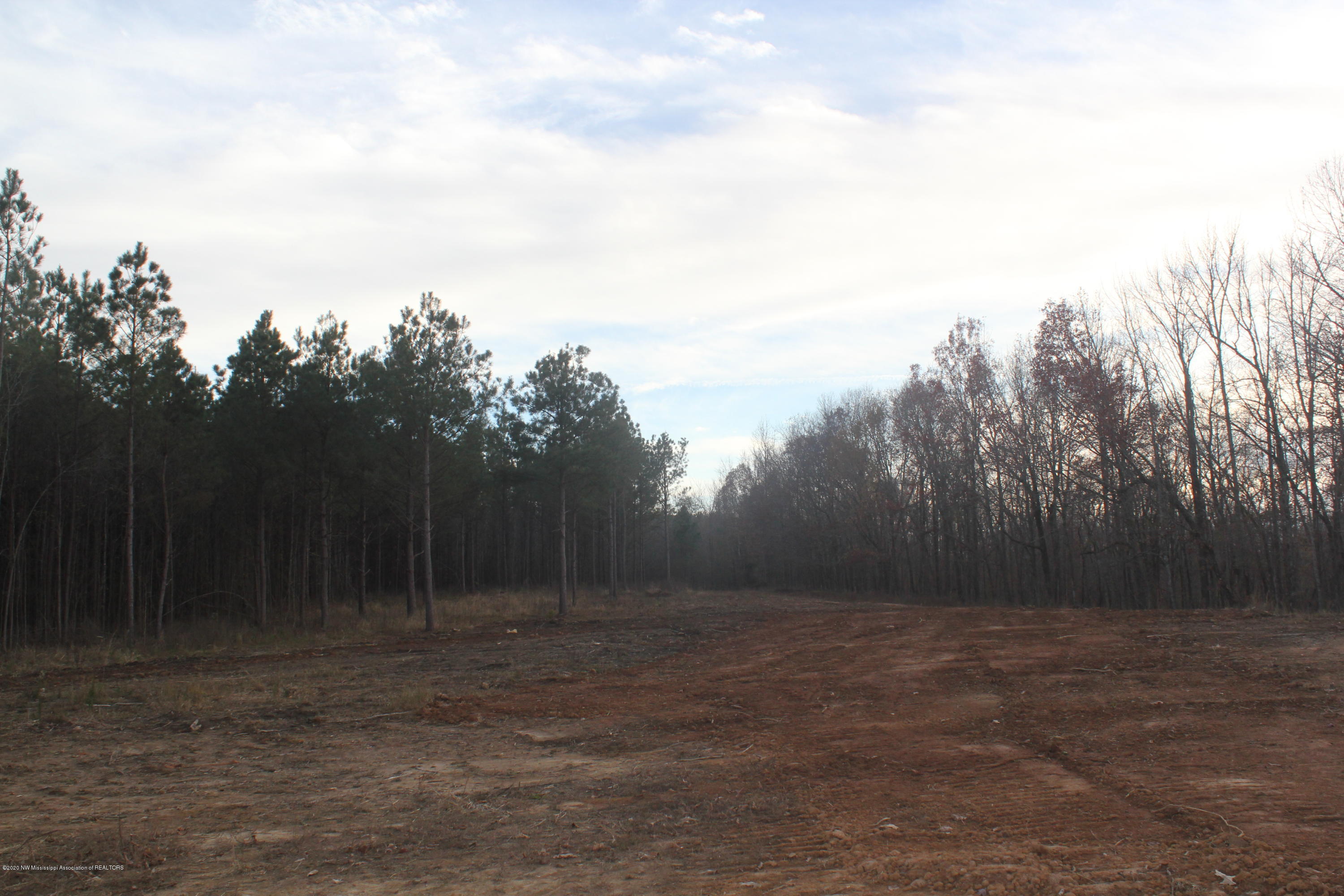 251 Hogan Road Lamar, MS 38642 - Photo 21 of 32 IMG_5339