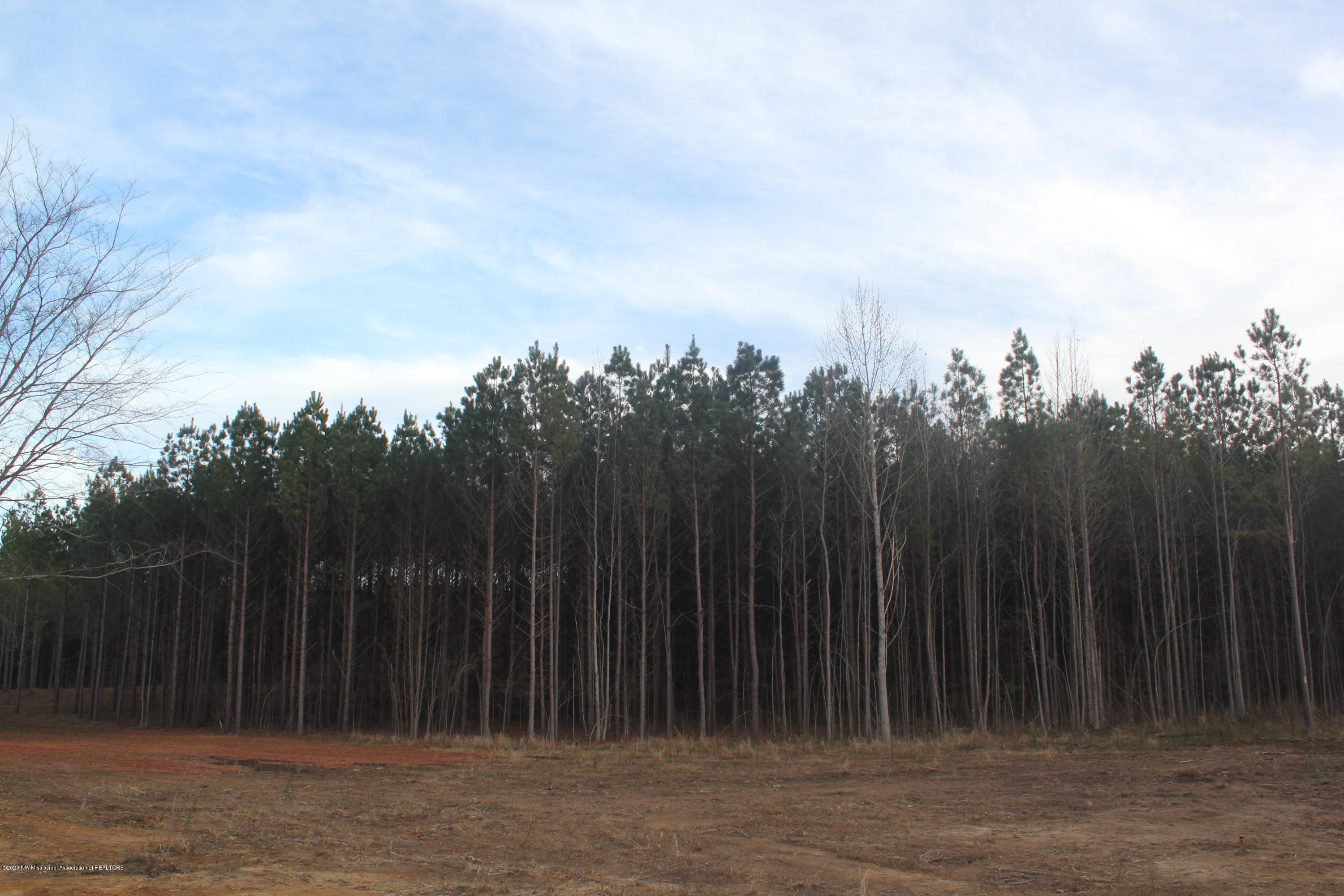 251 Hogan Road Lamar, MS 38642 - Photo 22 of 32 IMG_5340