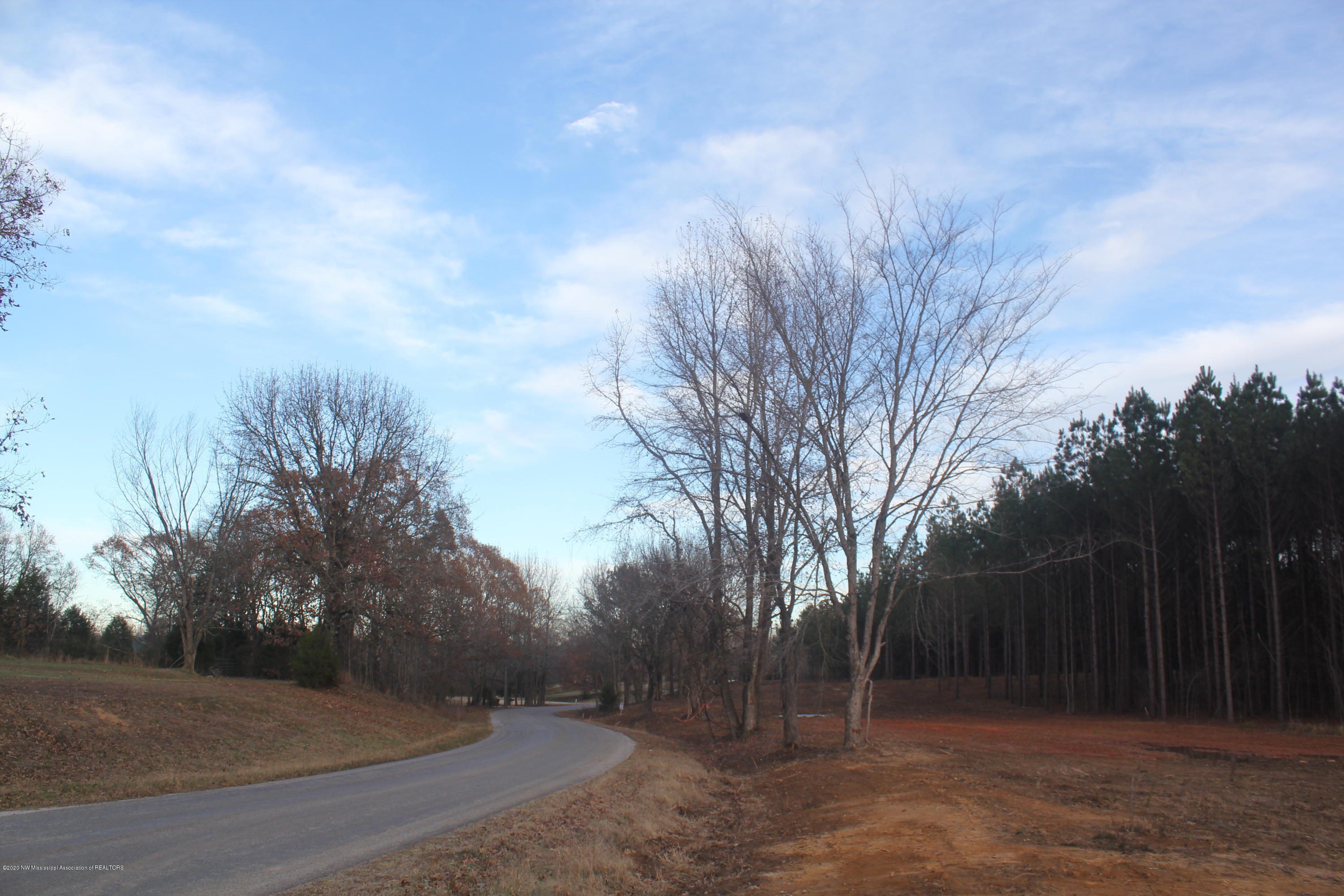 251 Hogan Road Lamar, MS 38642 - Photo 23 of 32 IMG_5341