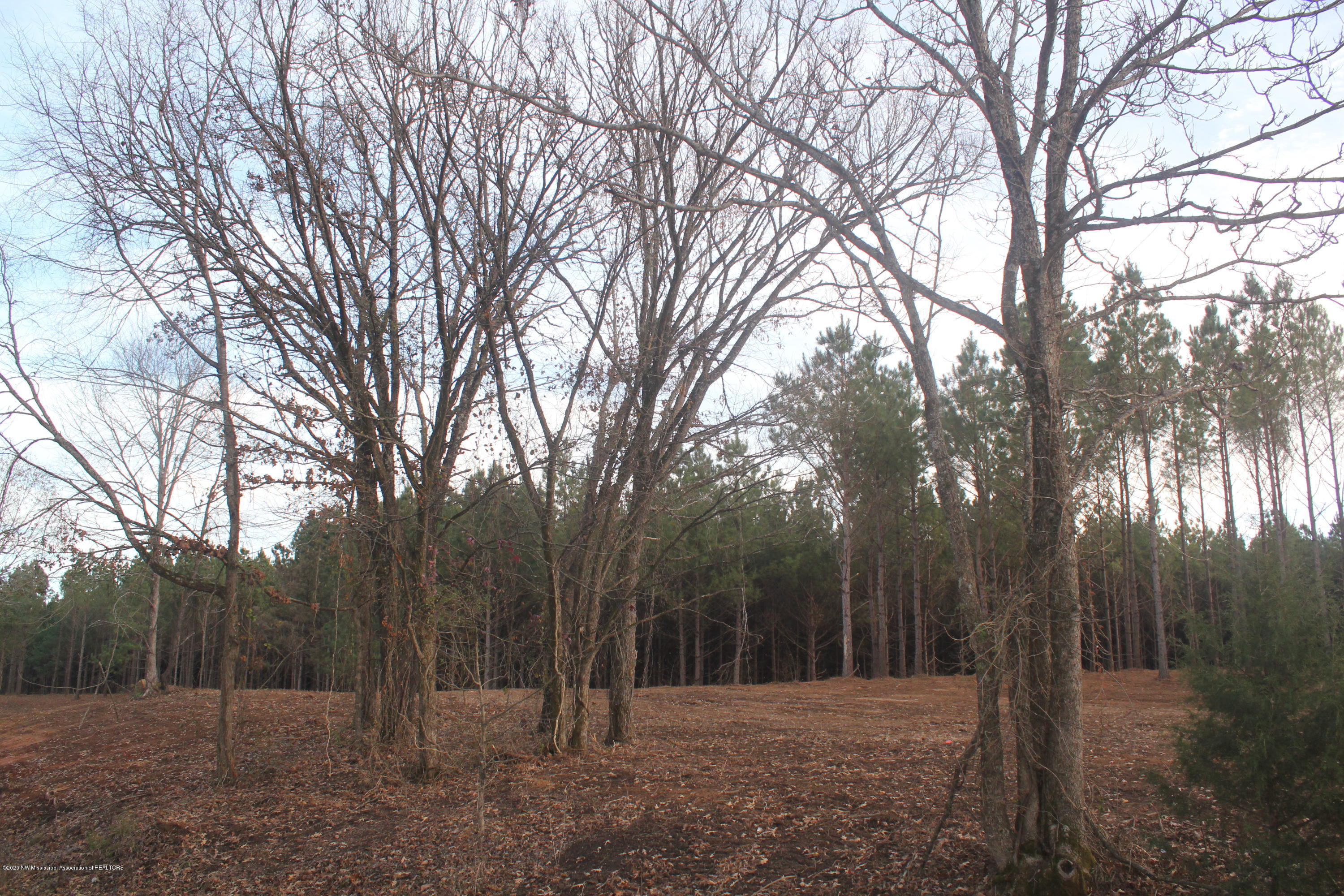 251 Hogan Road Lamar, MS 38642 - Photo 28 of 32 IMG_5346