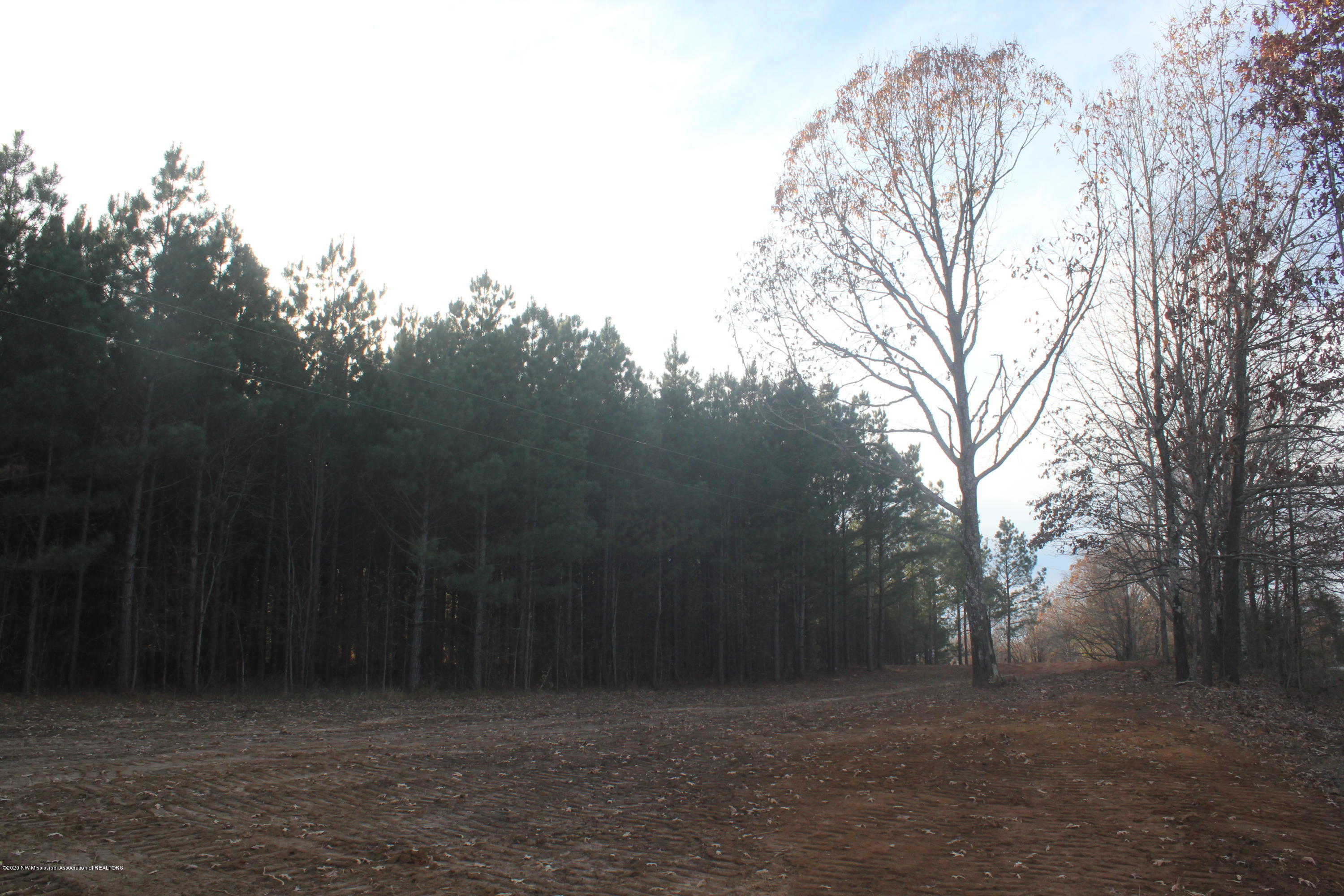 251 Hogan Road Lamar, MS 38642 - Photo 3 of 32 IMG_5321