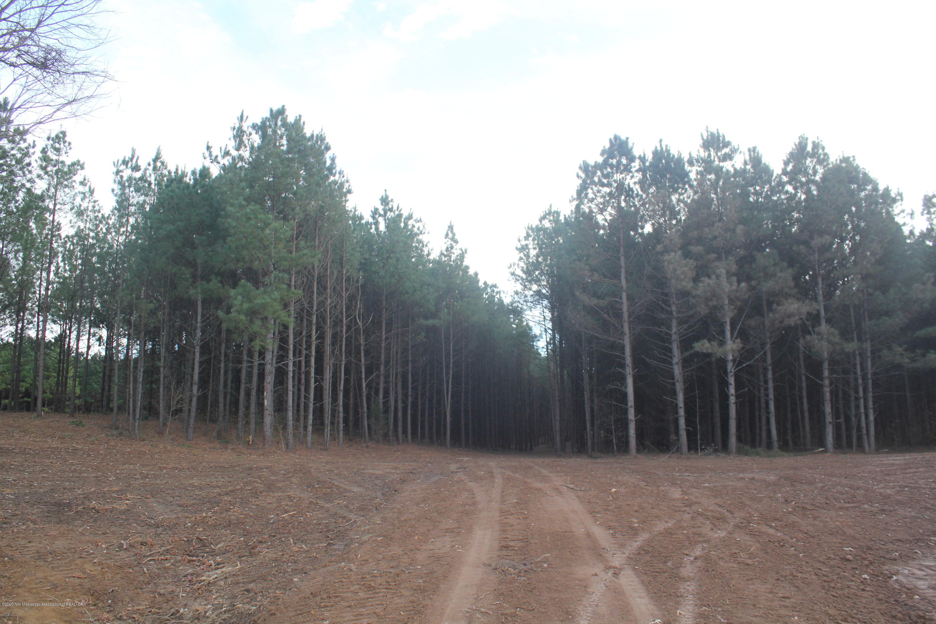 251 Hogan Road Lamar, MS 38642 - Photo 31 of 32 IMG_5349